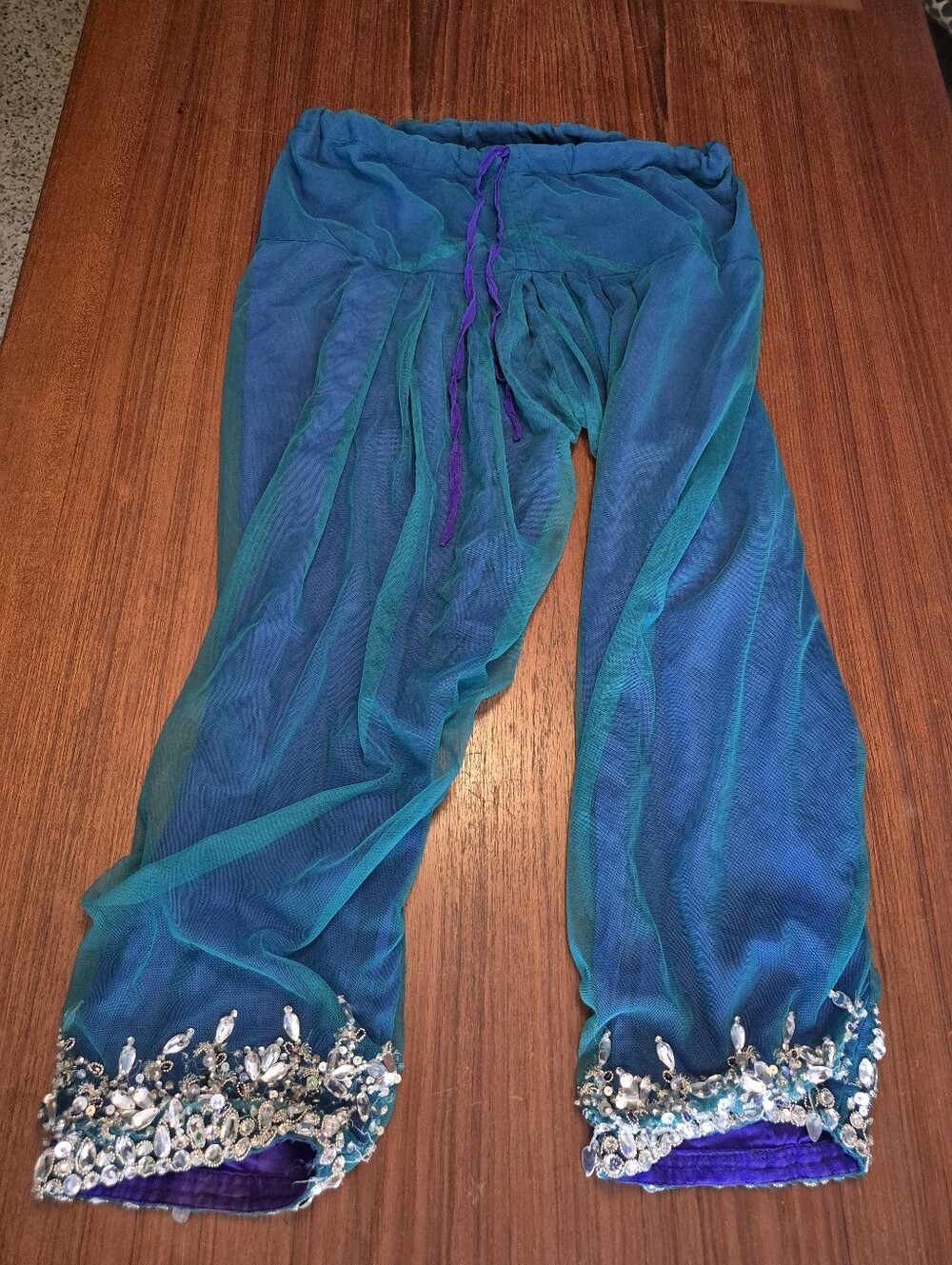 Embellished Teal & Blue Sheer Harem Pants L